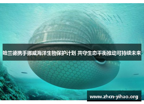 哈兰德携手挪威海洋生物保护计划 共守生态平衡推动可持续未来