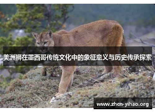 美洲狮在墨西哥传统文化中的象征意义与历史传承探索