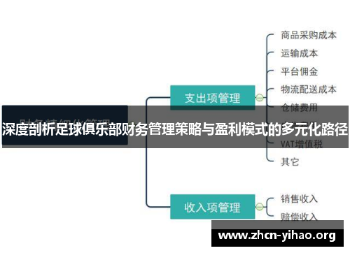 深度剖析足球俱乐部财务管理策略与盈利模式的多元化路径