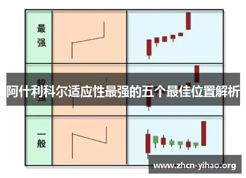 阿什利科尔适应性最强的五个最佳位置解析