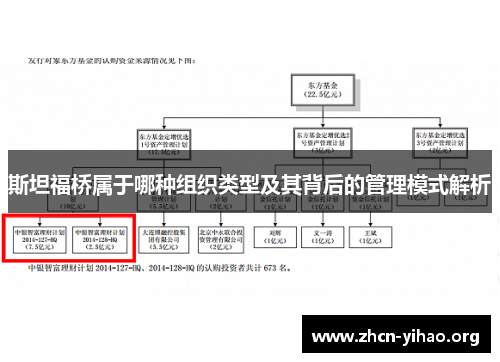斯坦福桥属于哪种组织类型及其背后的管理模式解析